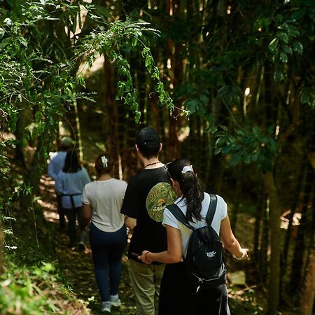 Fundo San Jose Parque Ecologico & Lodge Hotel Asociado Casa Andina ลาเมอร์เคด ภายนอก รูปภาพ