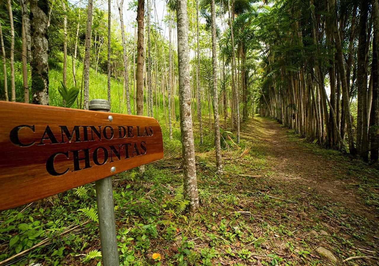 Fundo San Jose Parque Ecologico & Lodge Hotel Asociado Casa Andina ลาเมอร์เคด ภายนอก รูปภาพ