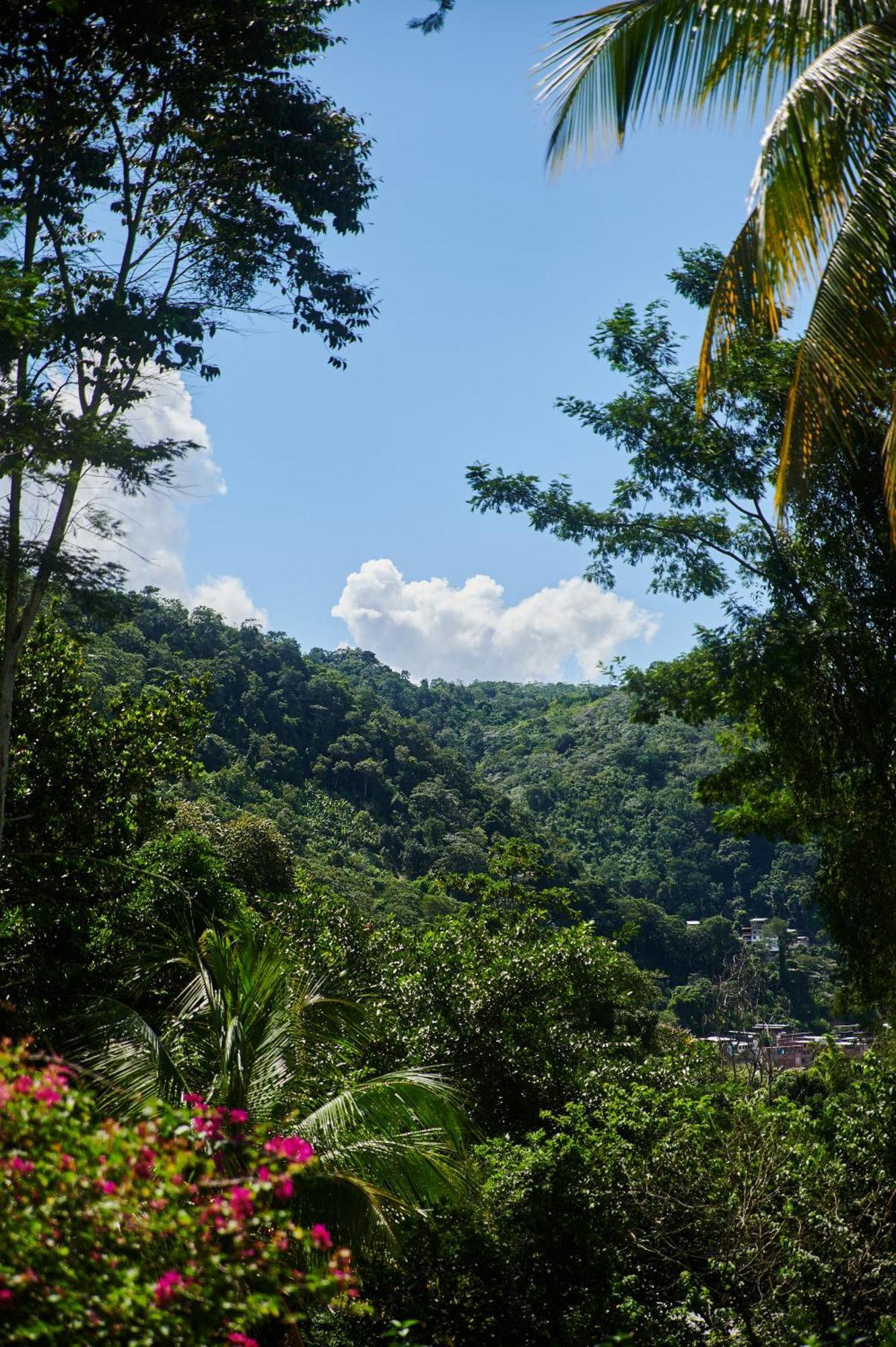 Fundo San Jose Parque Ecologico & Lodge Hotel Asociado Casa Andina ลาเมอร์เคด ภายนอก รูปภาพ