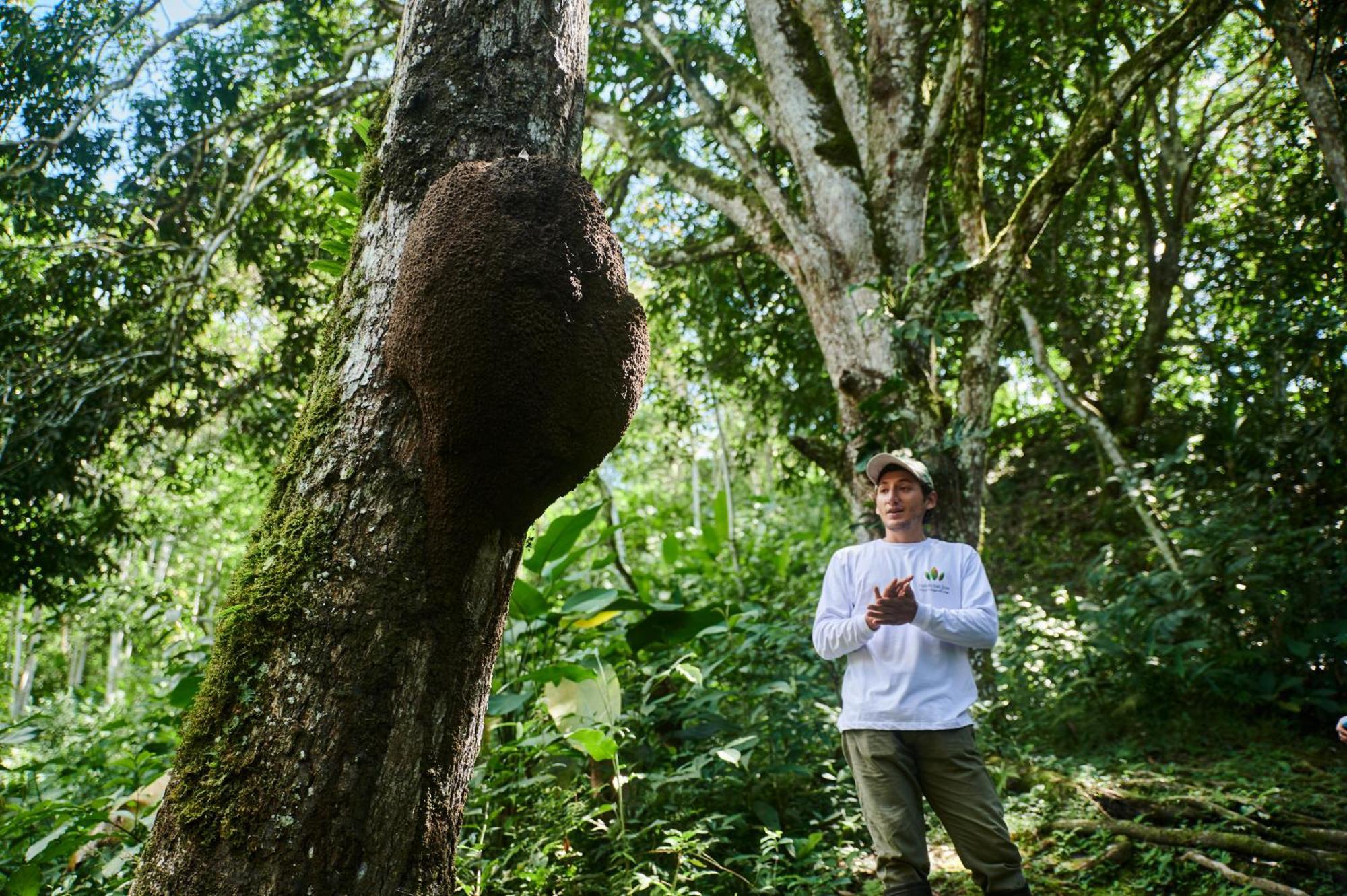Fundo San Jose Parque Ecologico & Lodge Hotel Asociado Casa Andina ลาเมอร์เคด ภายนอก รูปภาพ
