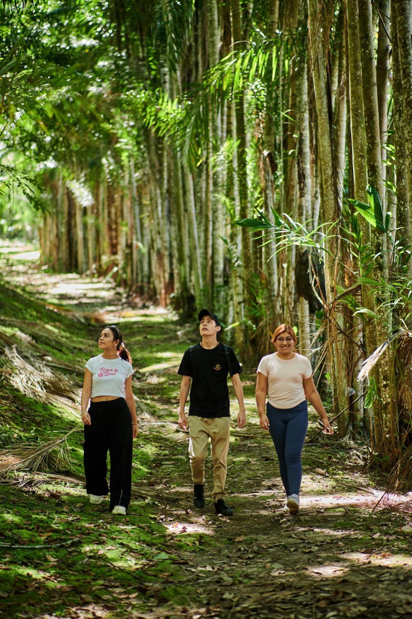 Fundo San Jose Parque Ecologico & Lodge Hotel Asociado Casa Andina ลาเมอร์เคด ภายนอก รูปภาพ