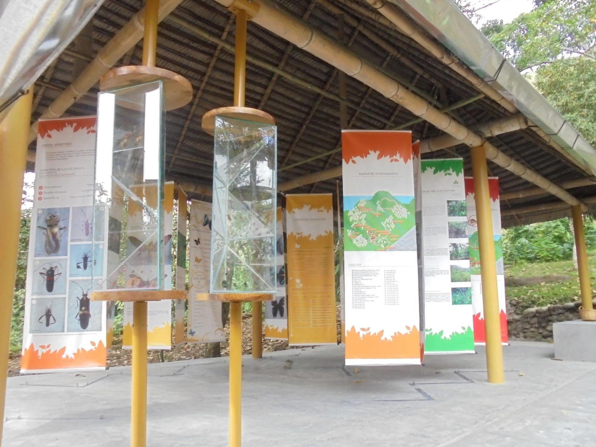 Fundo San Jose Parque Ecologico & Lodge Hotel Asociado Casa Andina ลาเมอร์เคด ภายนอก รูปภาพ